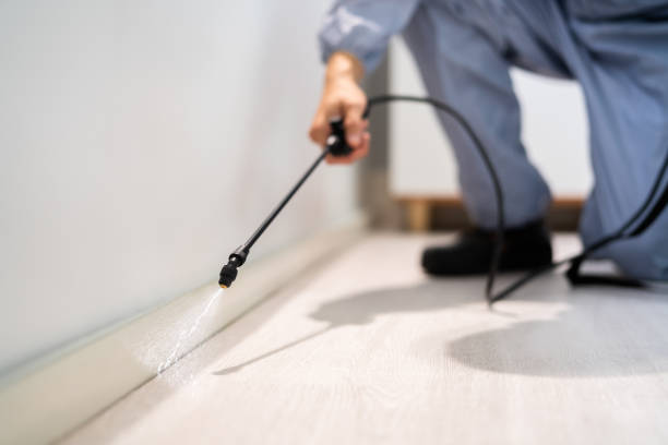 Professional exterminator conducting IPM assessment in Las Vegas